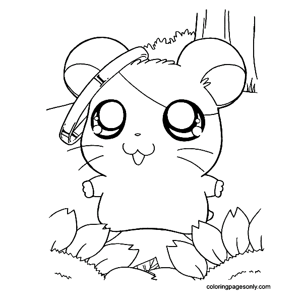 Cute Hamster Free Coloring Pages