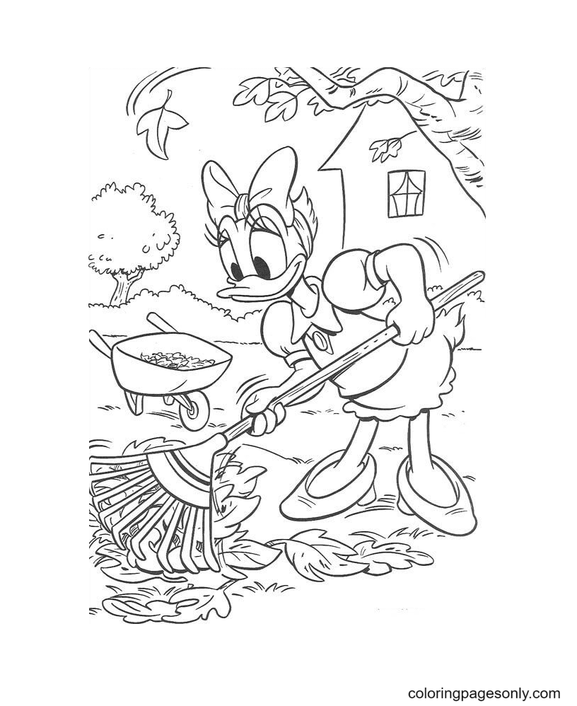 Daisy putzt den Garten von Daisy Duck