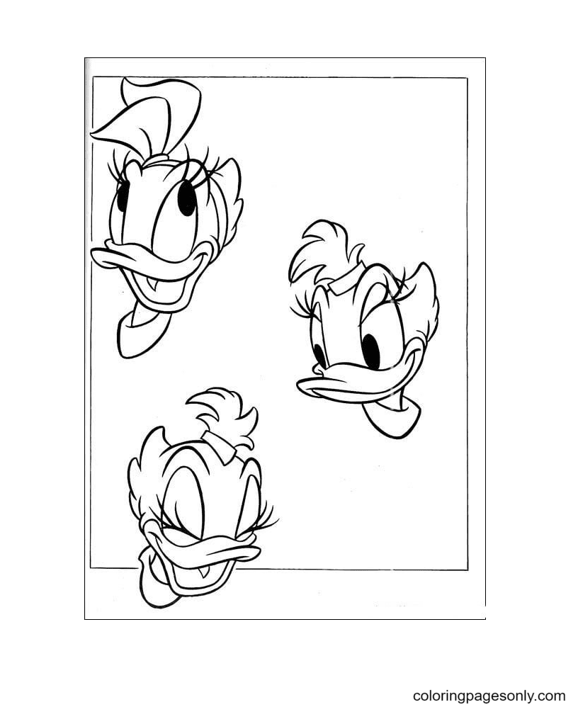 Daisy In Three Faces Coloring Page