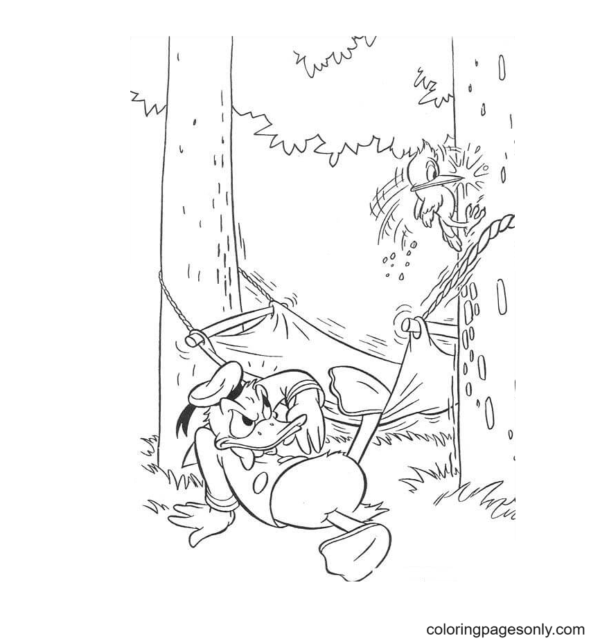 Donald And Woodpecker Coloring Page
