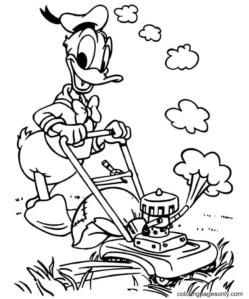 Donald Duck und der Rasenmäher zum Ausmalen