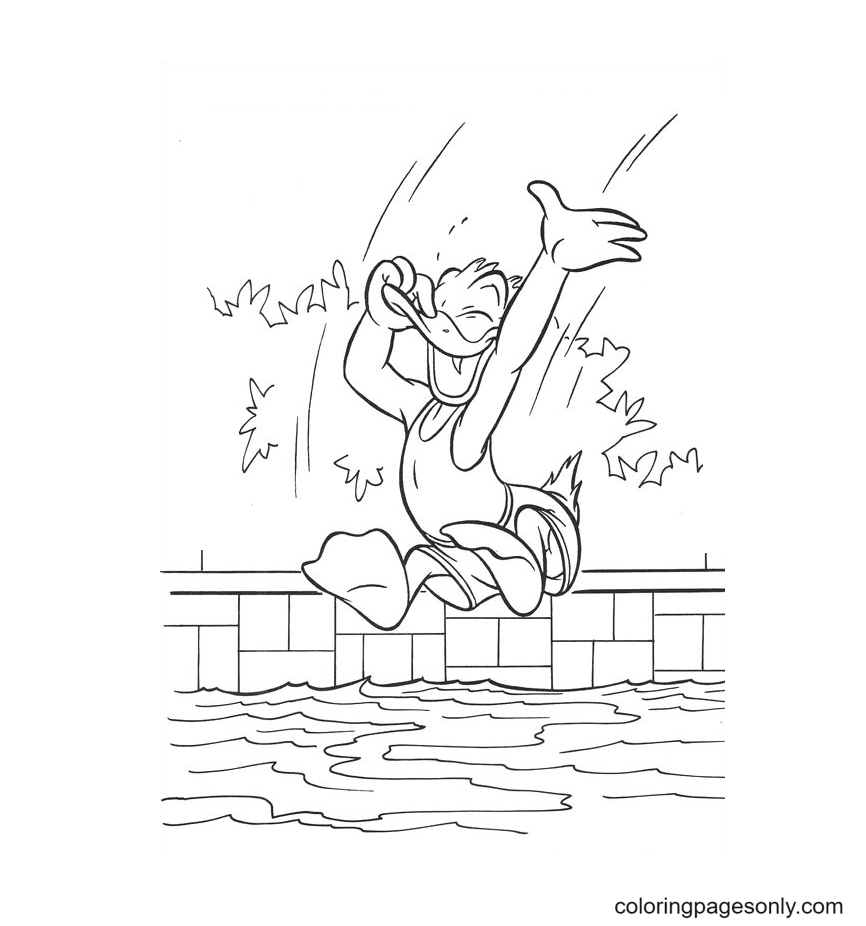 Donald sautant dans la piscine de Donald Duck