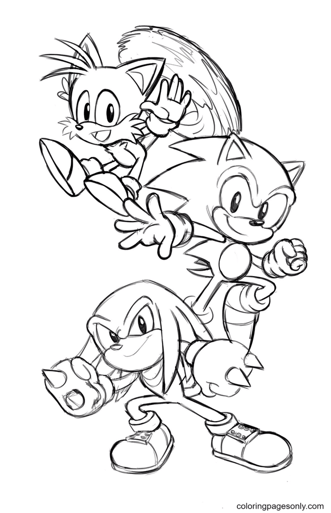 Echidna Knuckles, Sonic and Tails Coloring Pages
