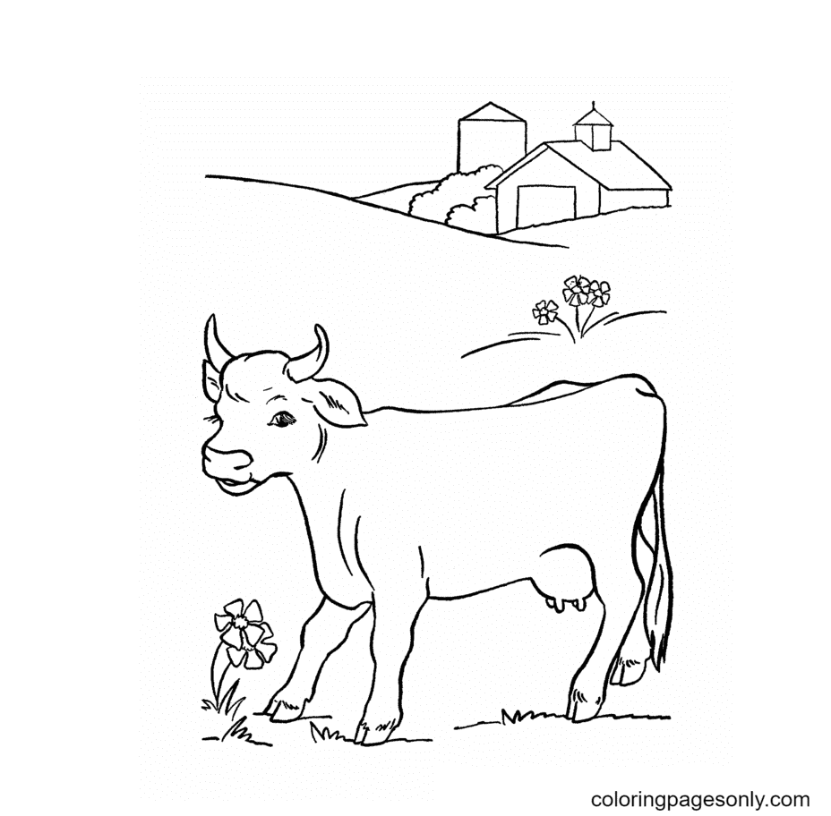 Bauernhof-Kuh-Malseite