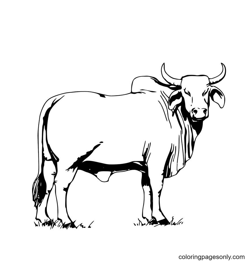 Vaca libre de animal realista