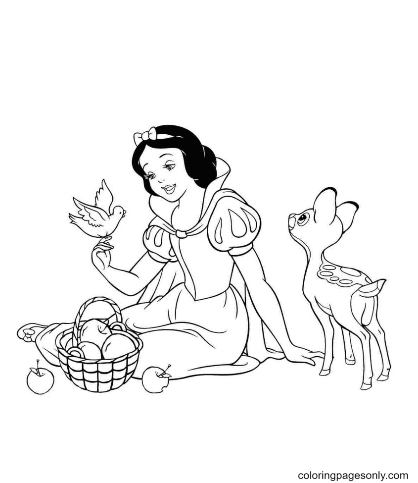 560 Coloring Pages Princess Snow White  HD