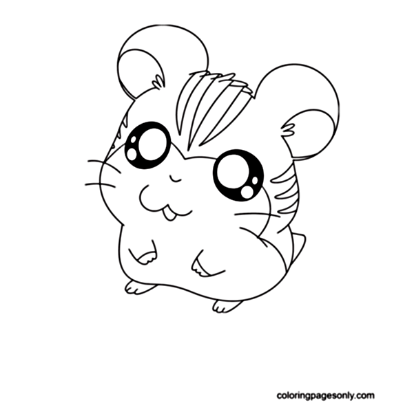 Funny Hamster Coloring Pages