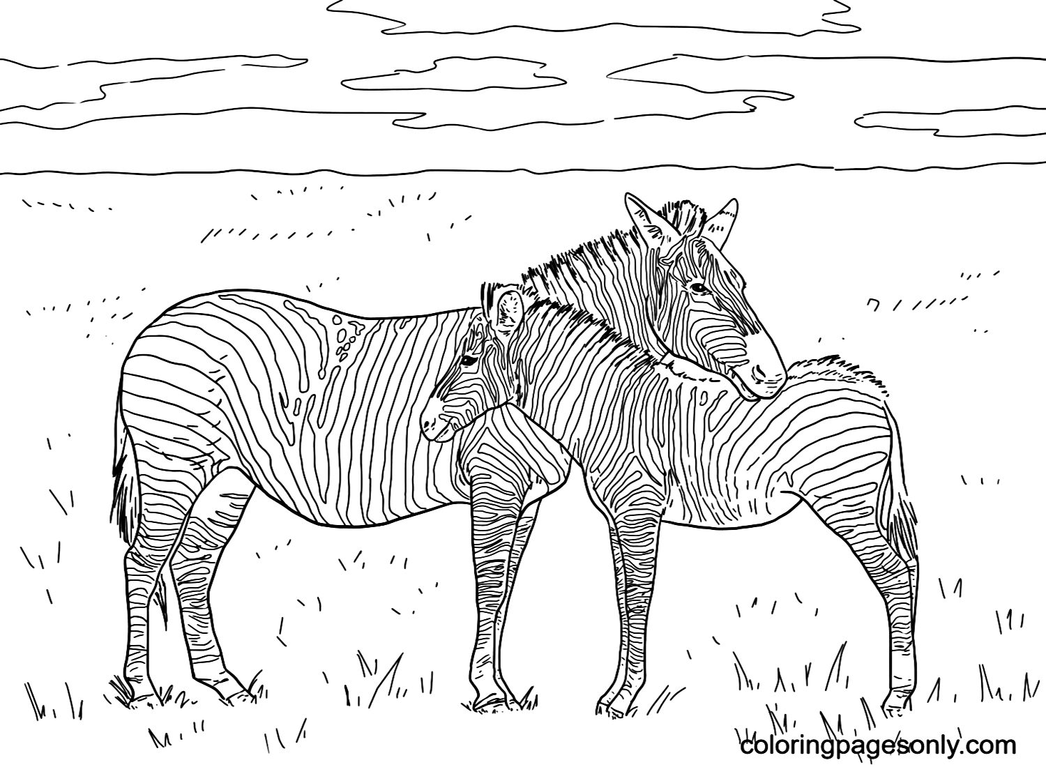 Grant’s Plain Zebras Coloring Pages