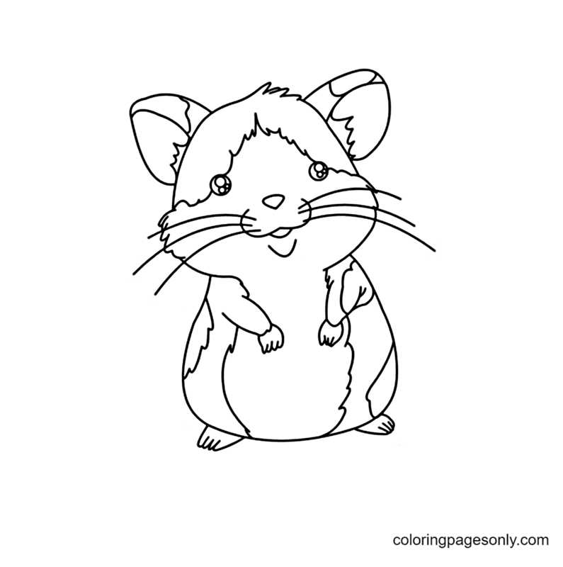 Hamster Free Printable Coloring Pages