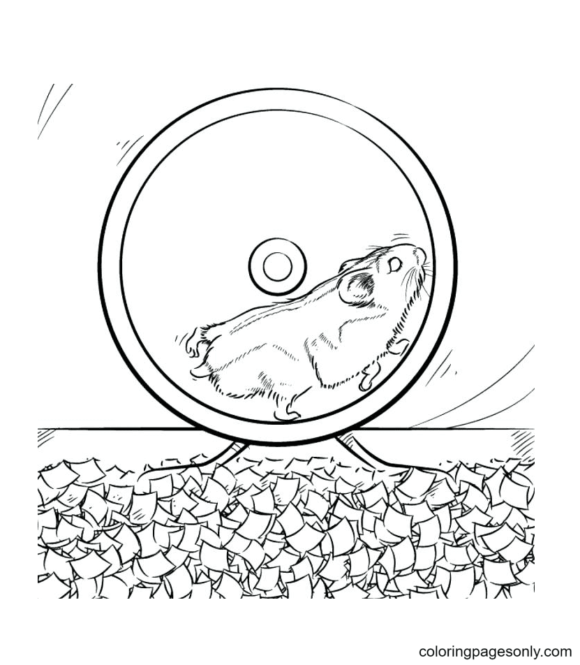 Hamster op een wiel van Hamster
