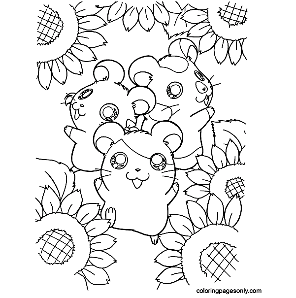 Hamsters With Sun Flower Coloring Pages