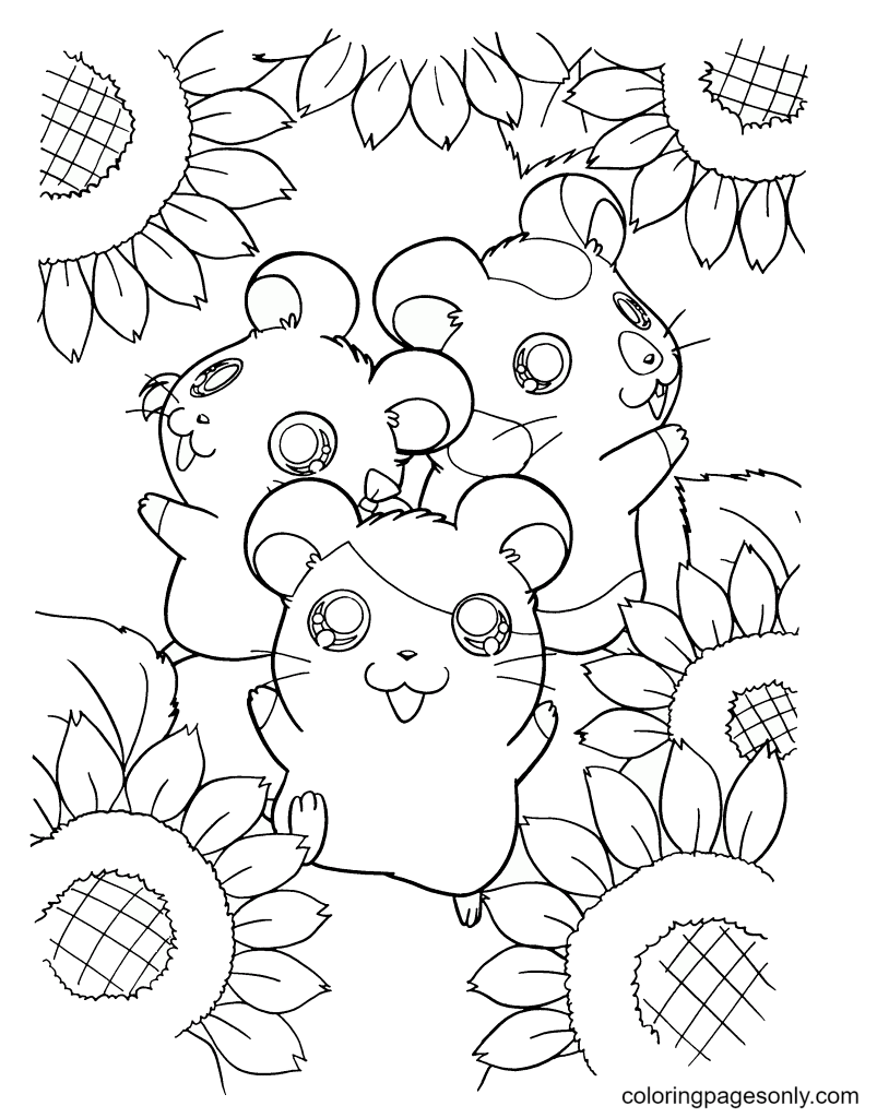 Hámsters con flor solar de Hamster