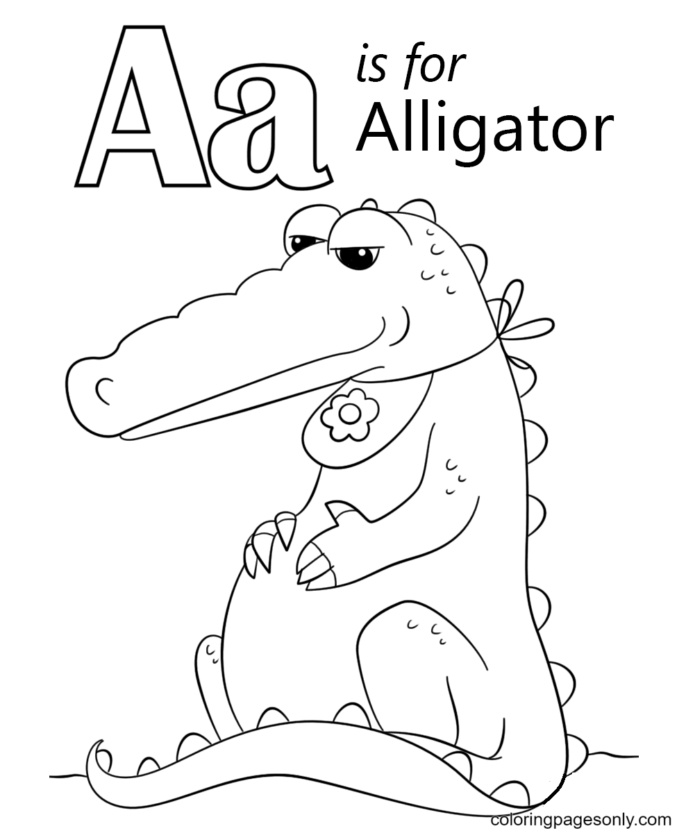 La lettre A est pour l'alligator de la lettre A