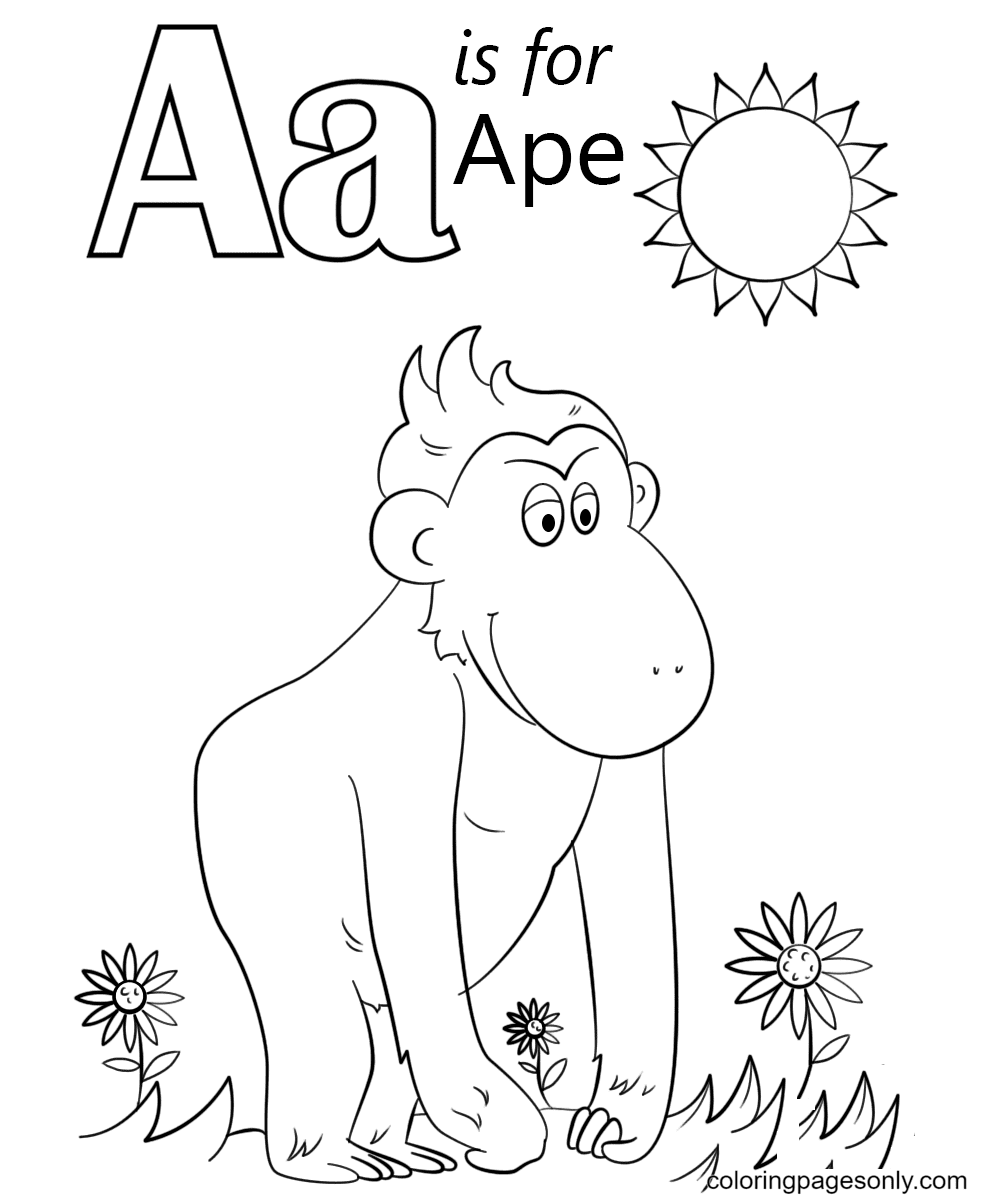 Letter A is for Ape Coloring Page