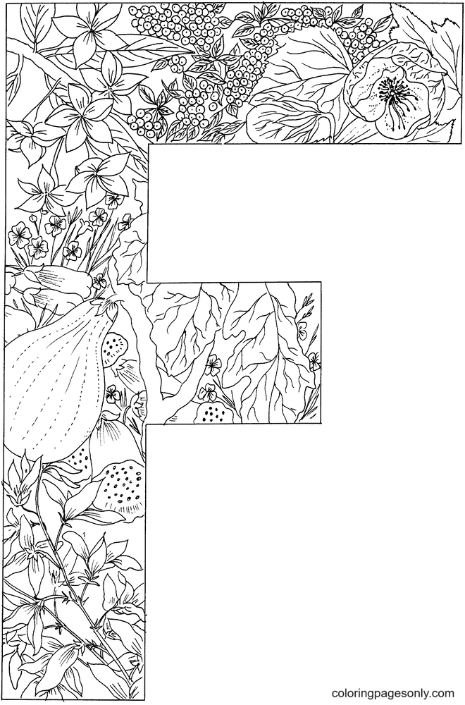 Coloriage lettre F avec plantes