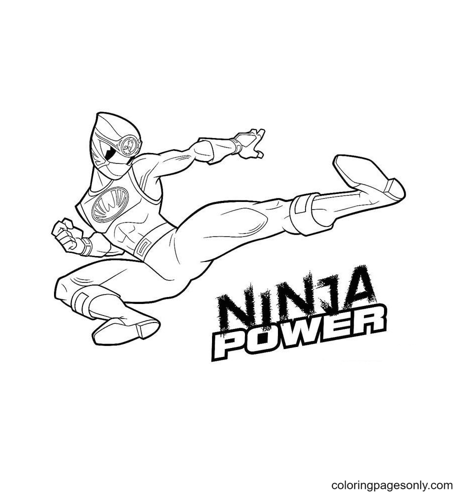 Ninja Power van Power Rangers