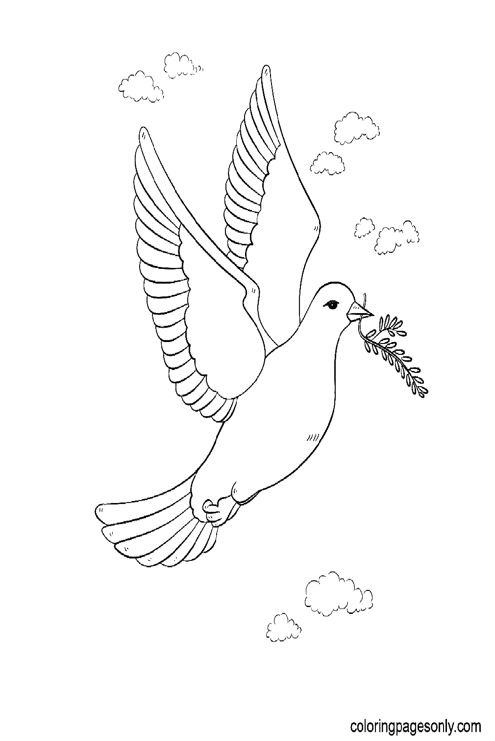 Coloriage colombe de la paix avec rameau d'olivier