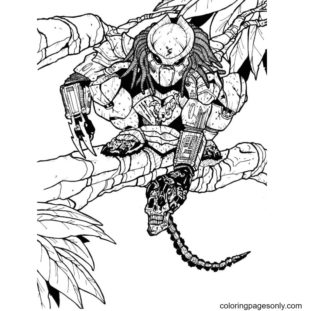 Predator on a tree branch Coloring Page