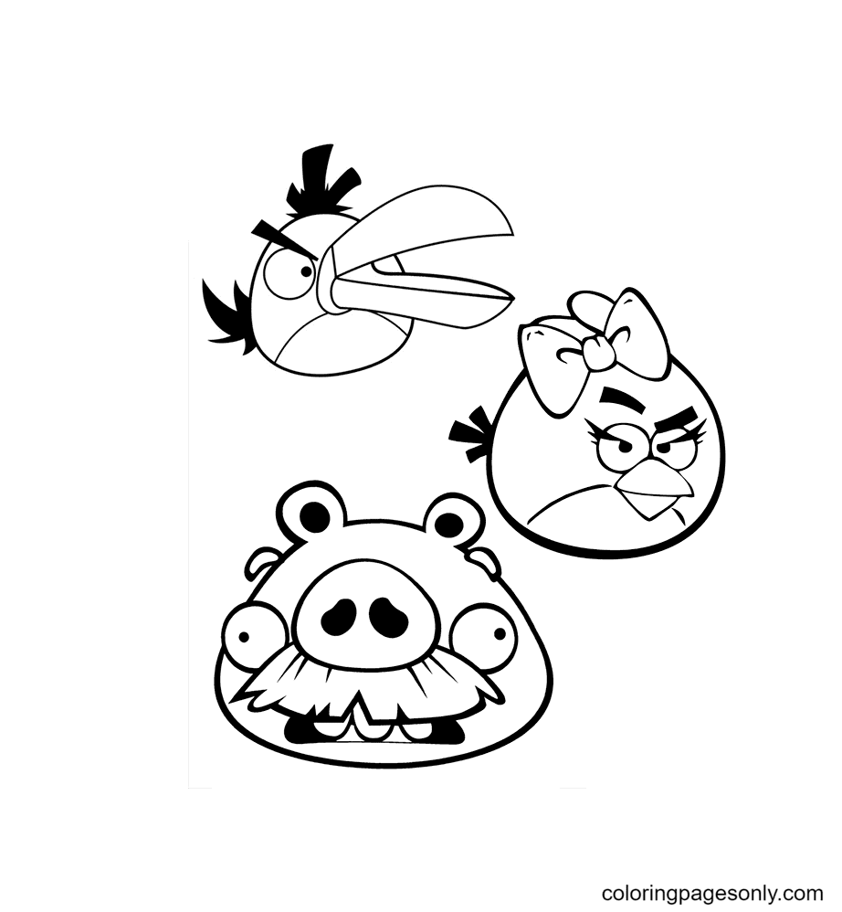 Стелла, Хэл и Леонард из Angry Birds