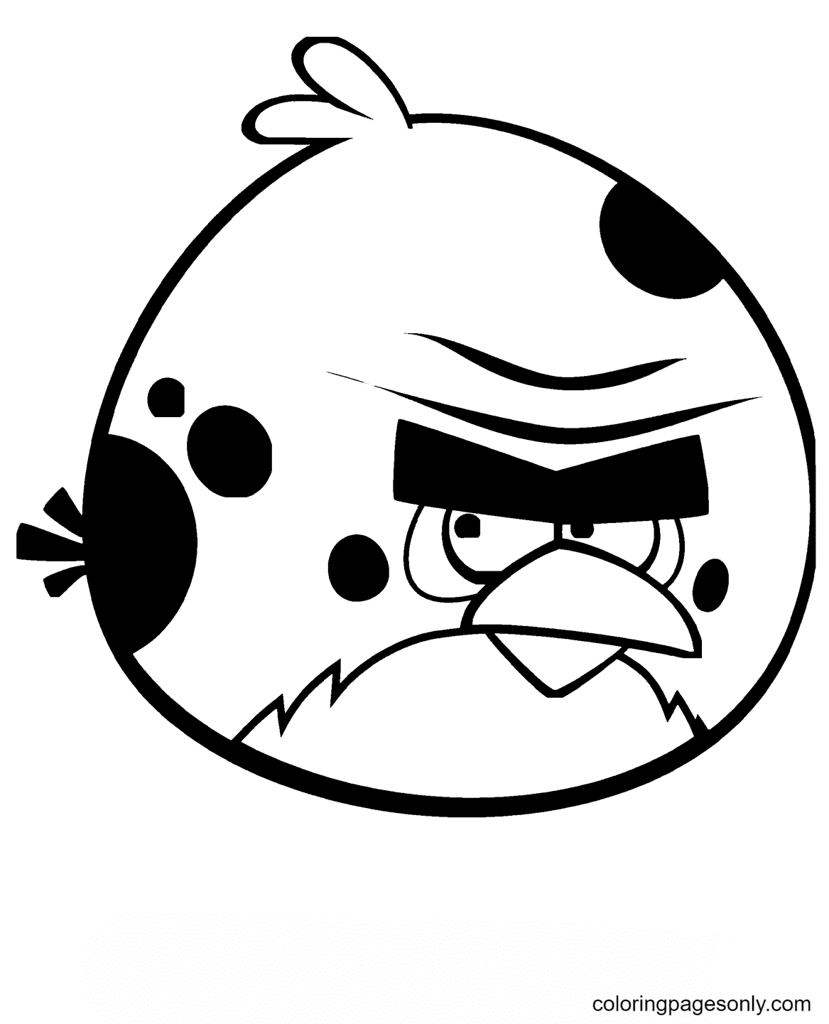 Terence Bird von Angry Birds