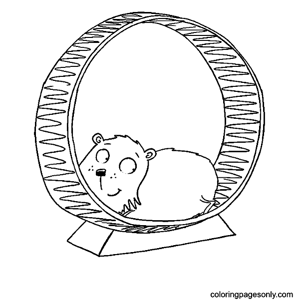 The Hamster on a Hamster wheel Coloring Pages