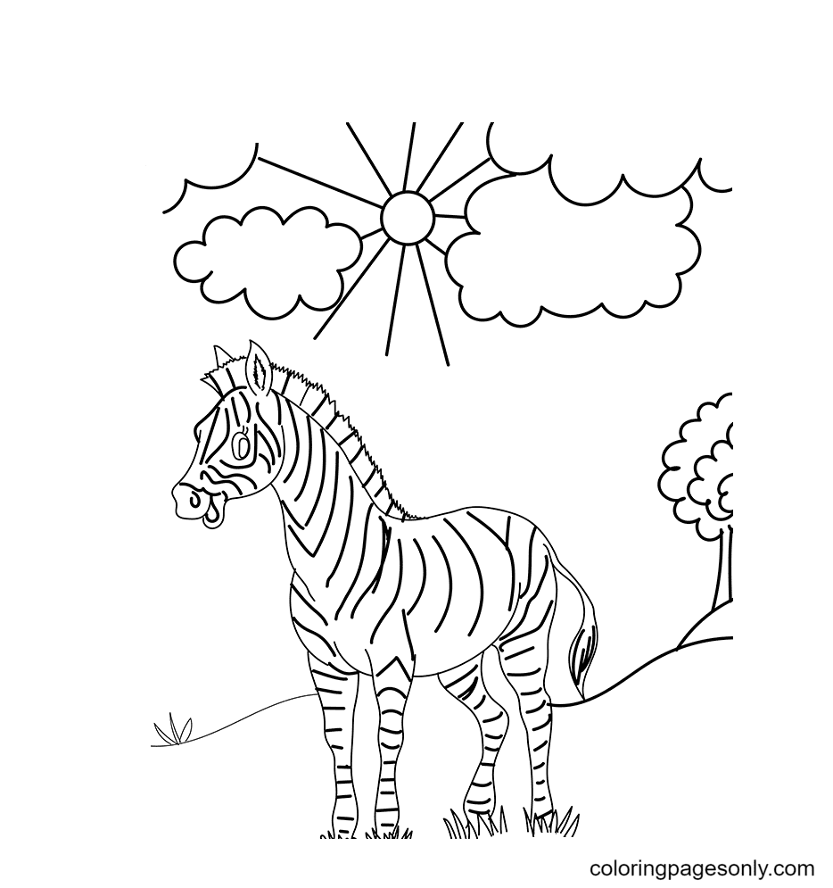 Das Zebra im Wald von Zebra