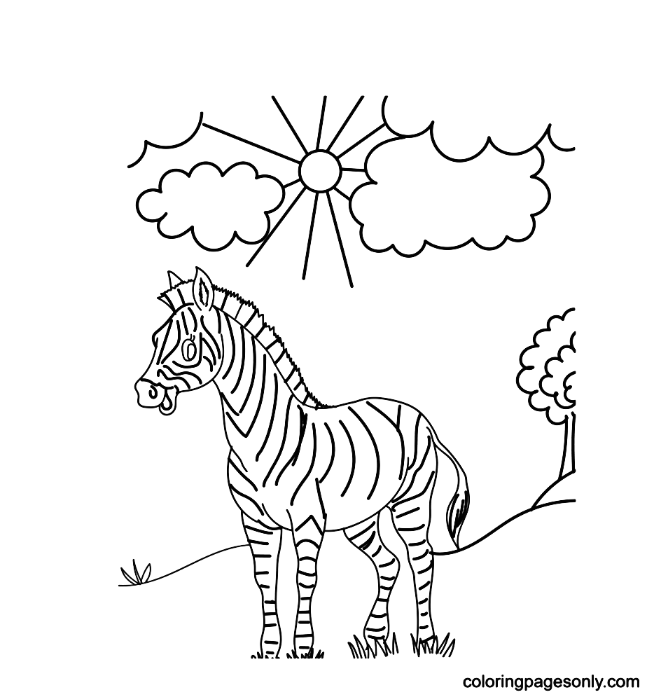 The Zebra In A Forest Coloring Pages