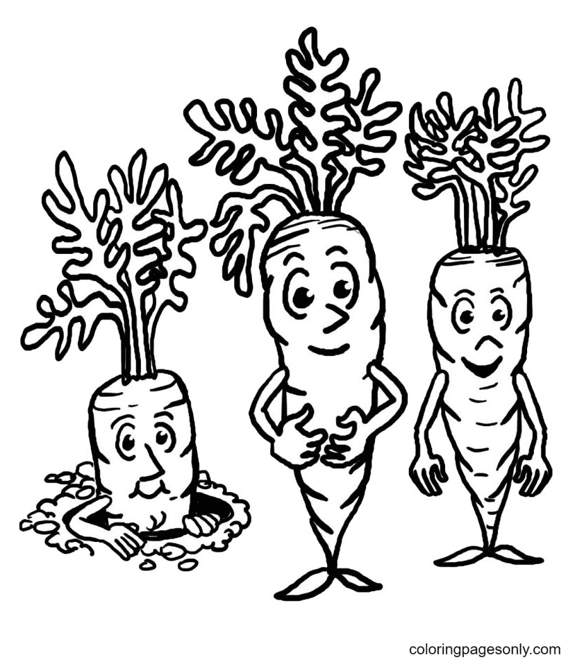 Three Carrots Coloring Page