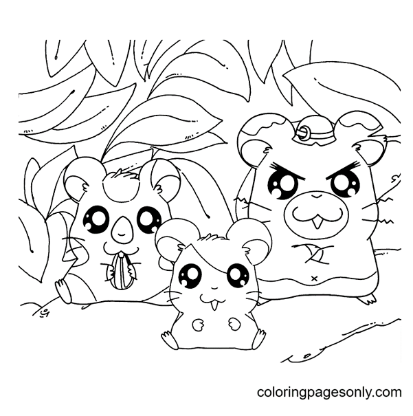 Cute Hamster Coloring Pages - Hamster Coloring Pages - Coloring Pages ...