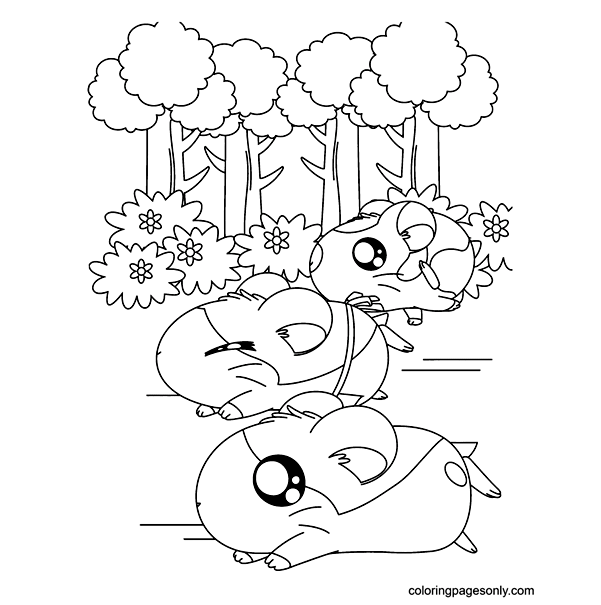 Three Hamsters in the forest Coloring Pages