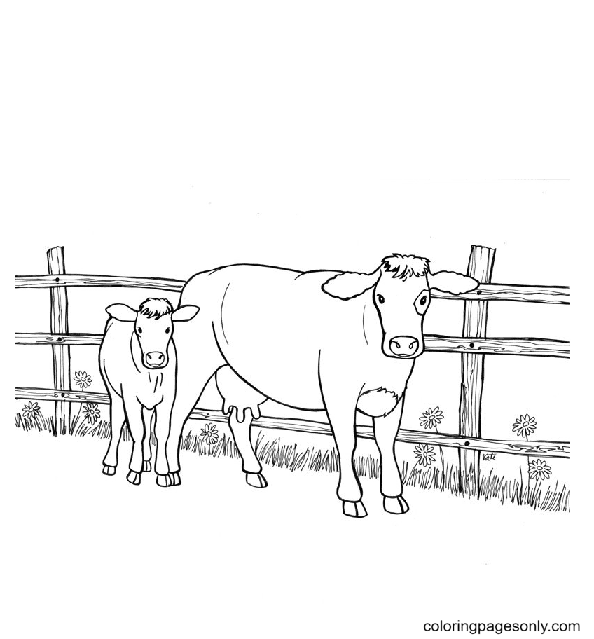 Zwei Kühe von Cow