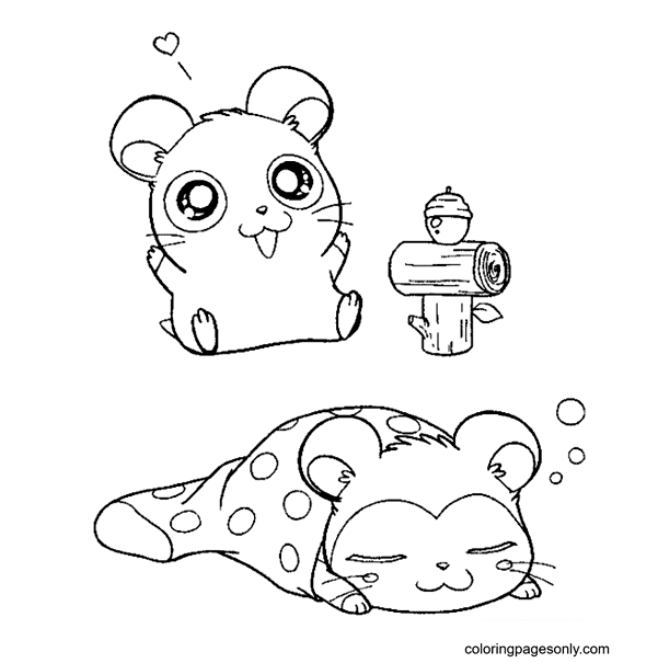 Two Cute Hamsters Coloring Pages