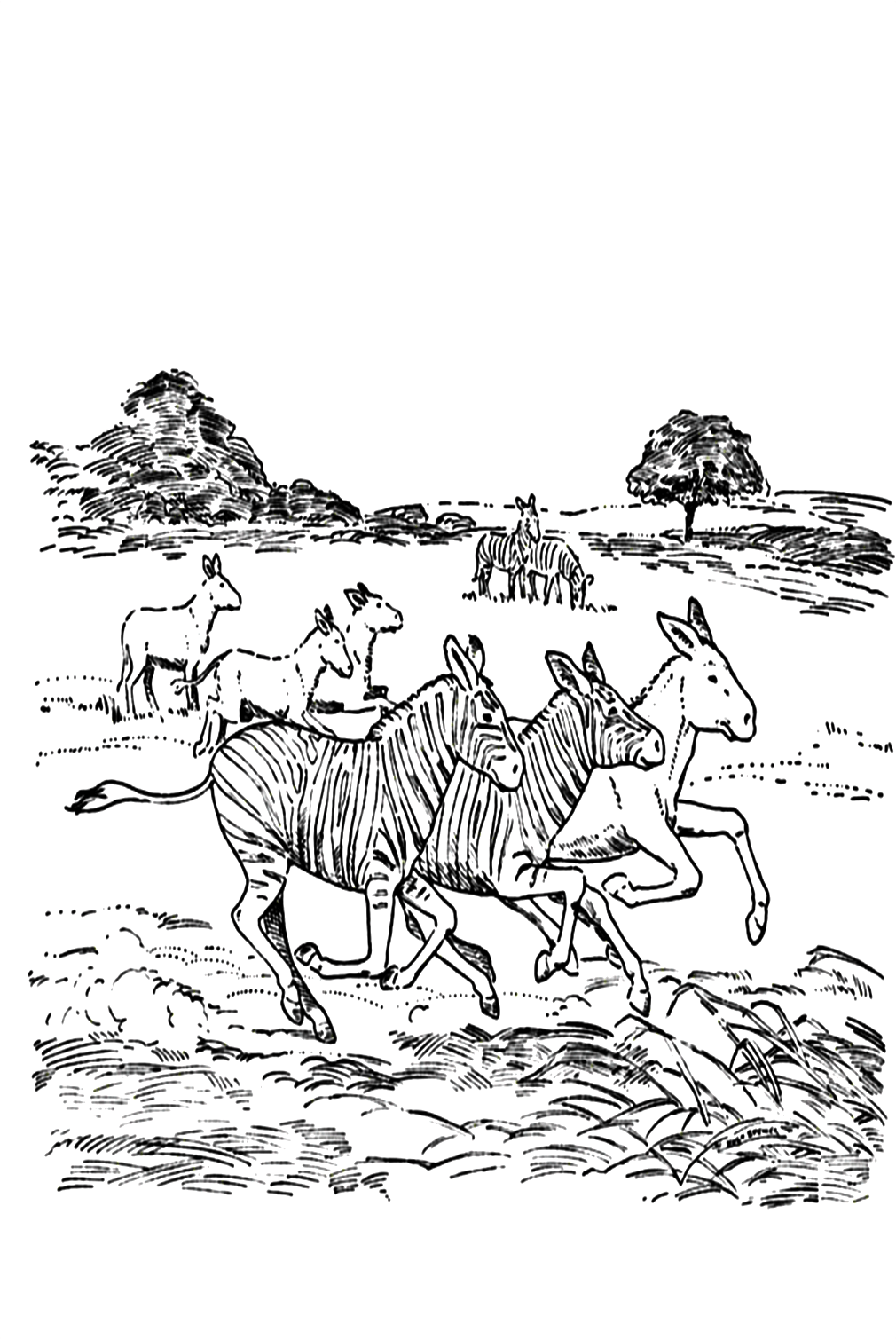 Zebra And The Horses Run Together Coloring Page