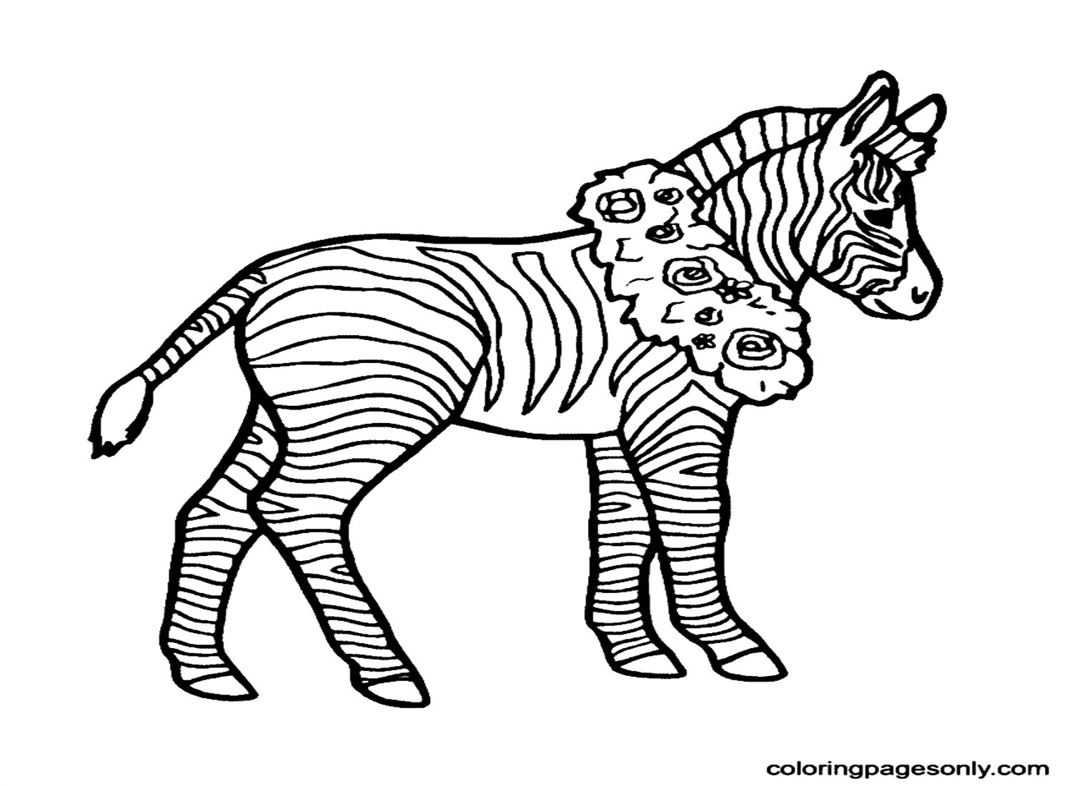 Zebra Wears A Wreath Around His Neck Coloring Page