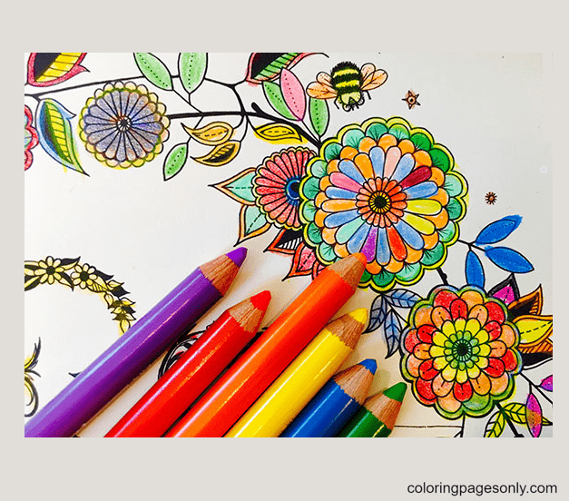 Coloring pages – You will know a interesting activity for all ages