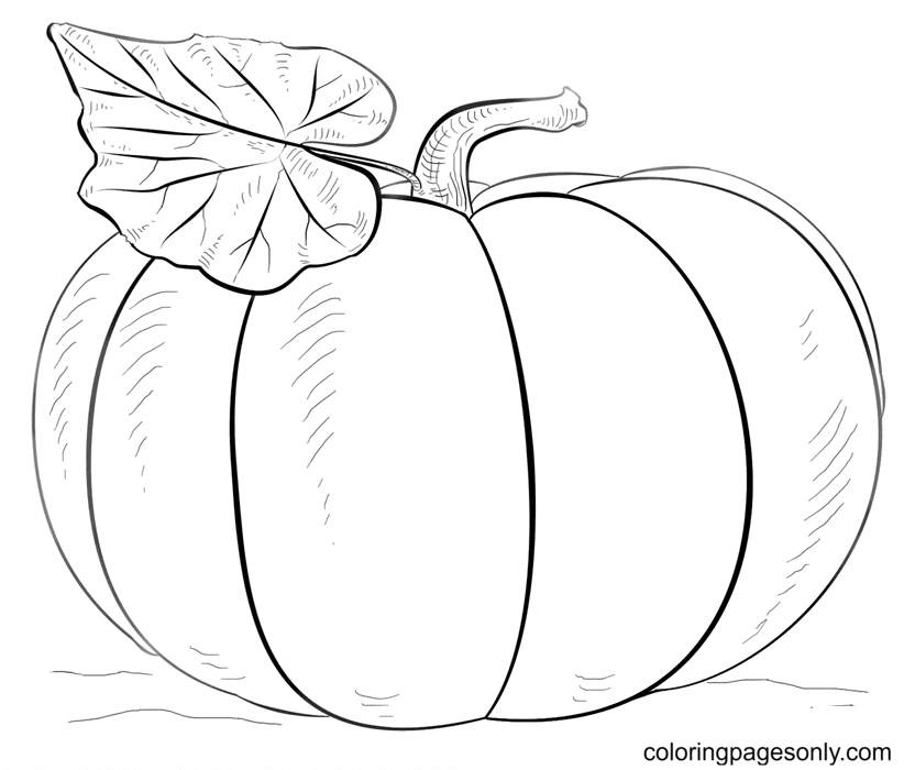 Een pompoen met bladeren van Pumpkin