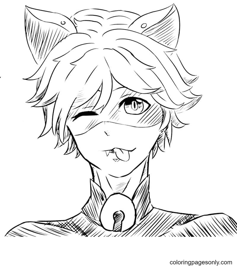 Adrien Cat Noir Coloring Pages Ladybug And Cat Noir Coloring Pages 