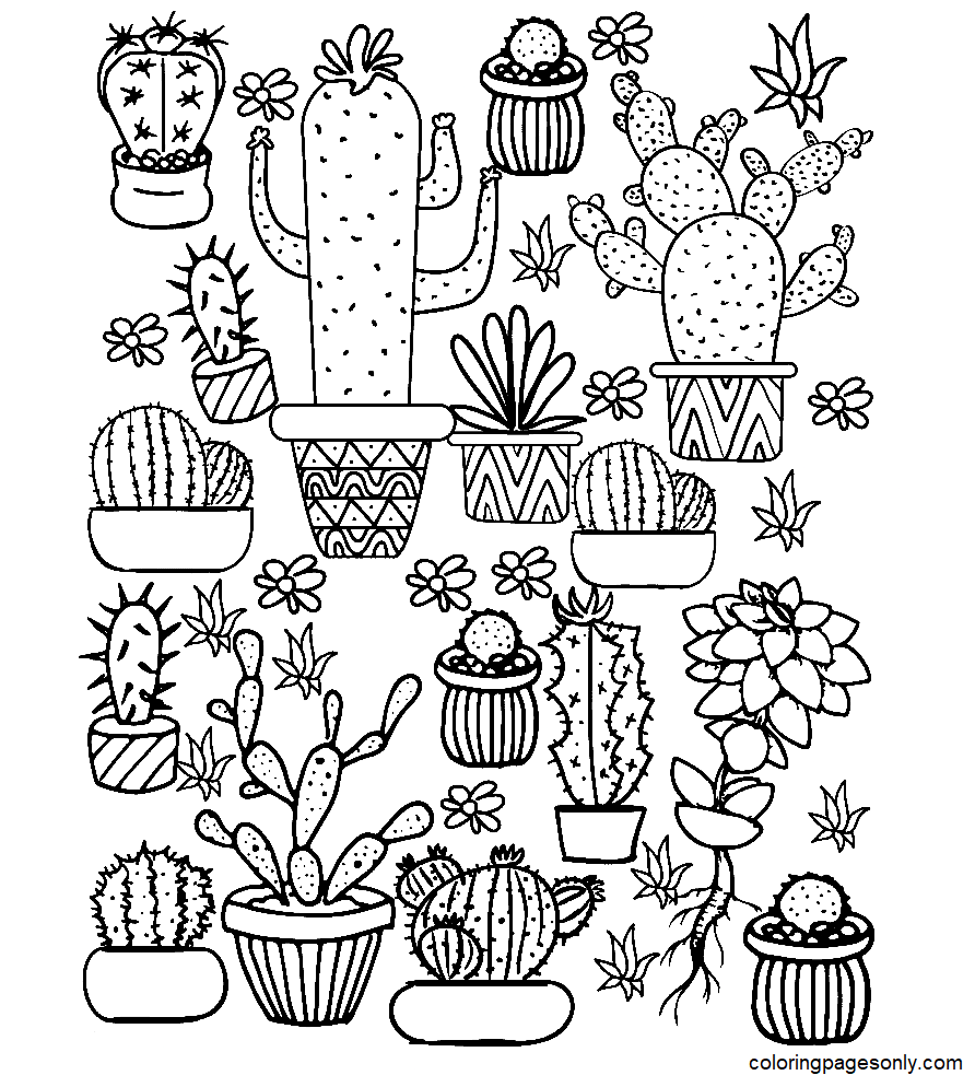 Estetica della pagina da colorare di cactus