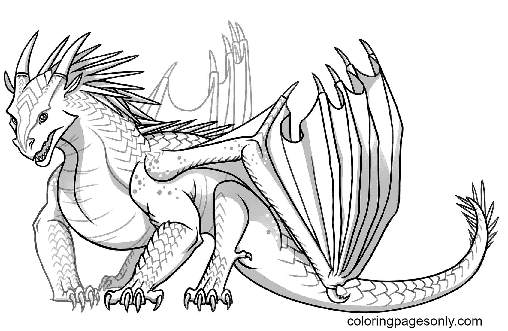 Baby Icewing Dragon Coloring Page