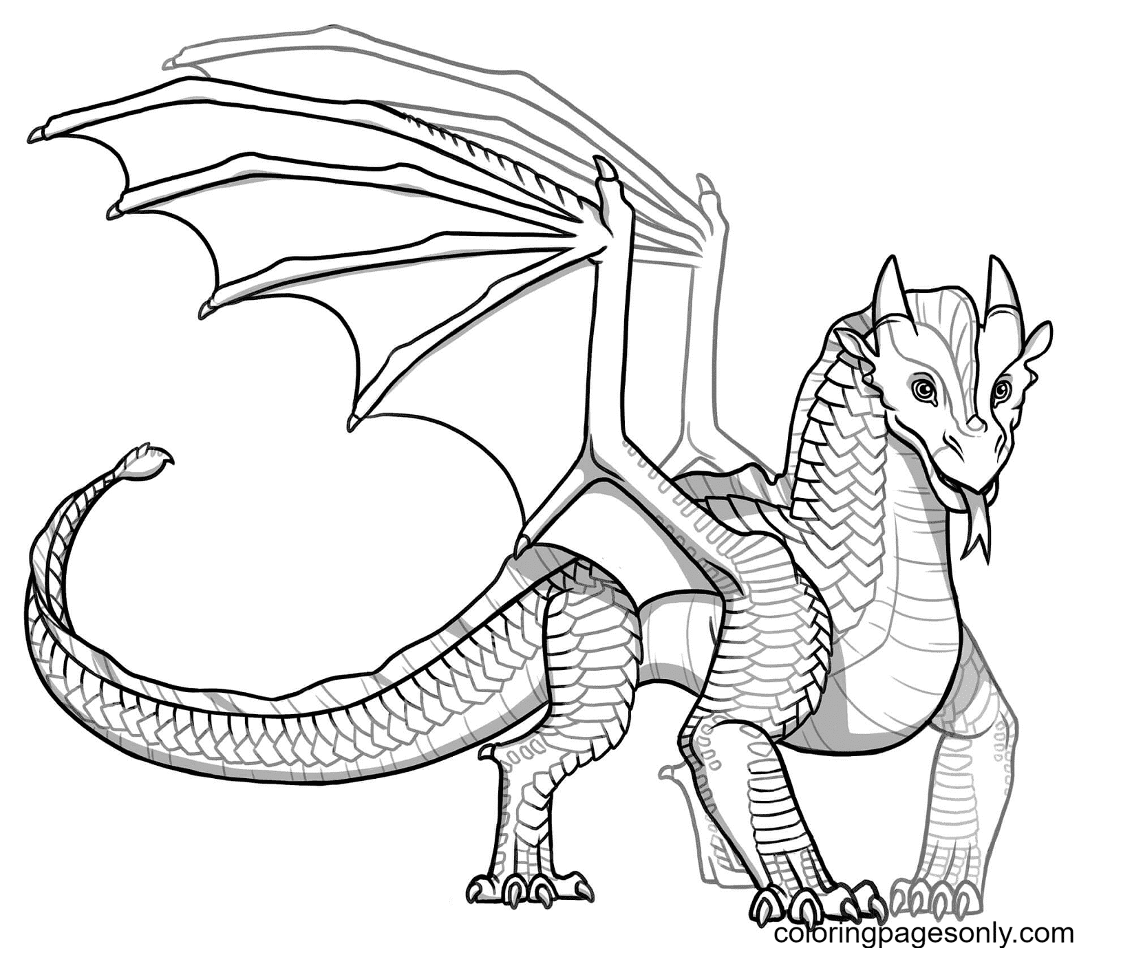 Baby Sandwing Dragon aus Wings Of Fire