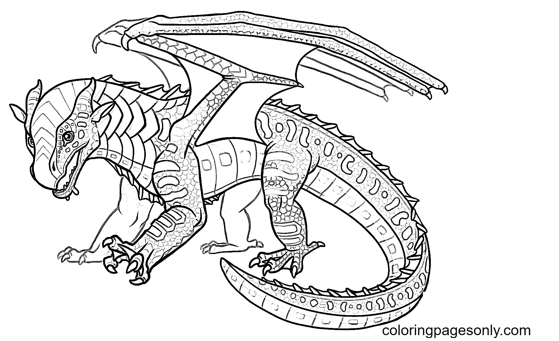 Baby Seawing Dragon Coloring Page