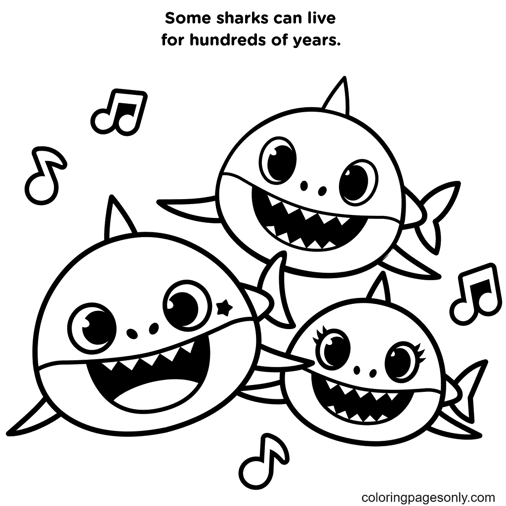 Baby Shark Song Coloring Page