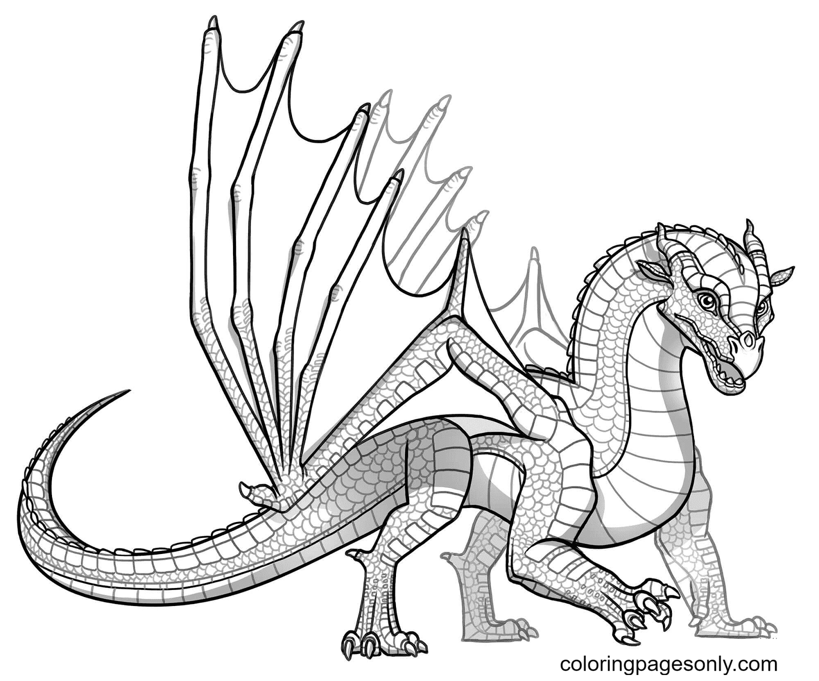 Baby Skywing Dragon Coloring Page Free Printable Coloring Pages