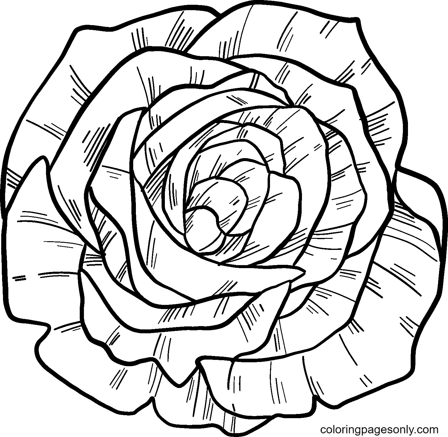 Big Rose Coloring Pages