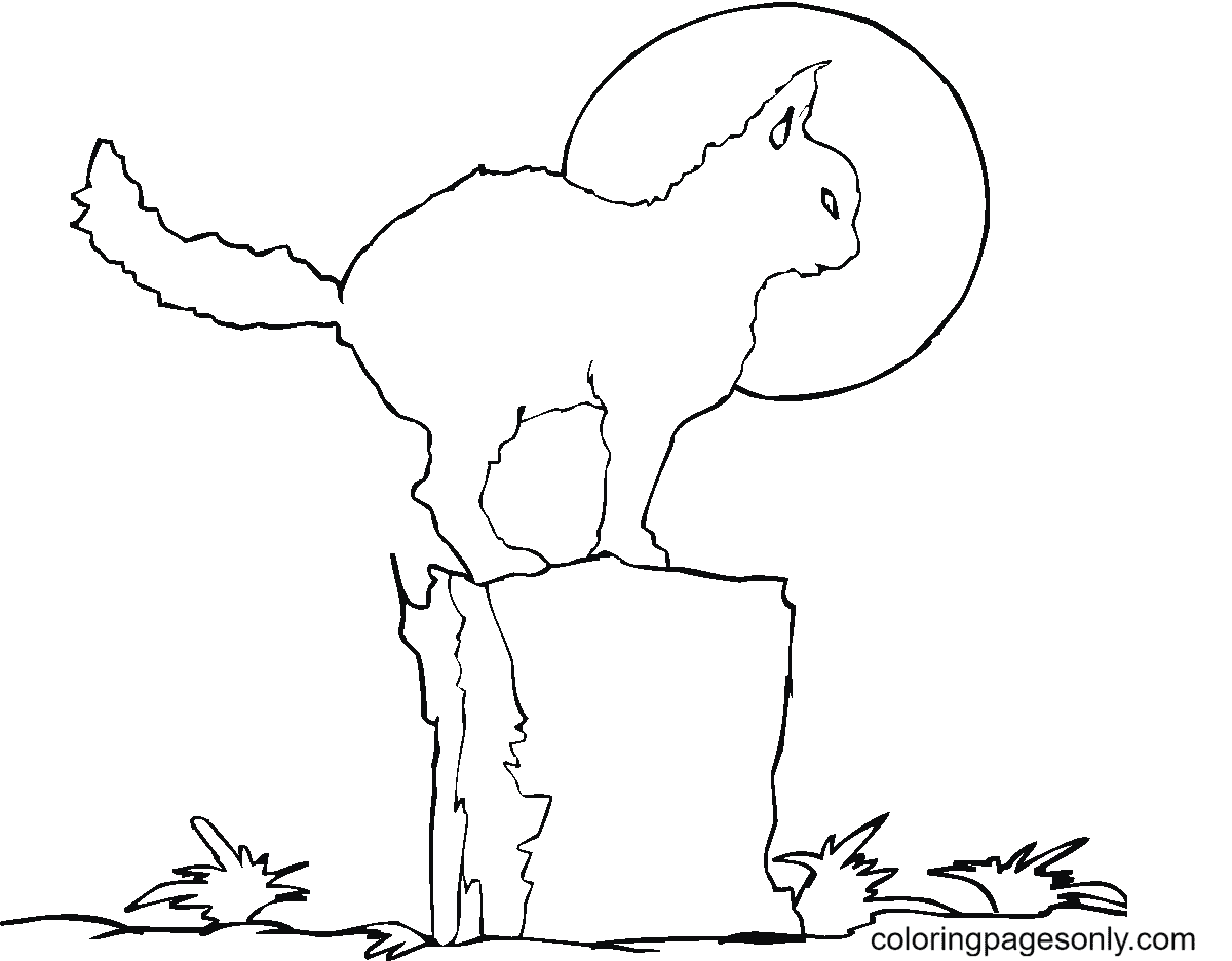 Black Cat on the stump Coloring Page