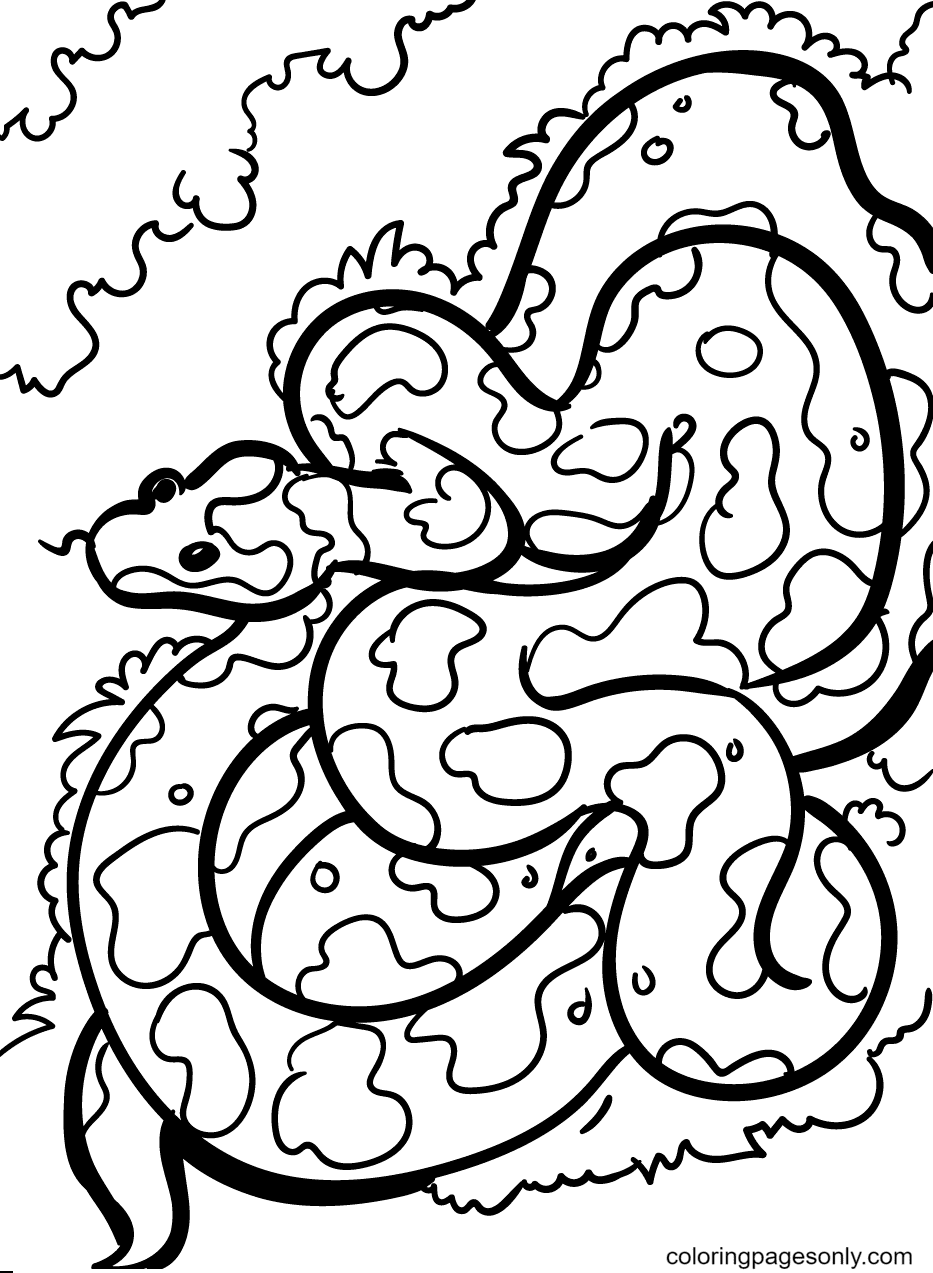 Camouflage Snake Coloring Page