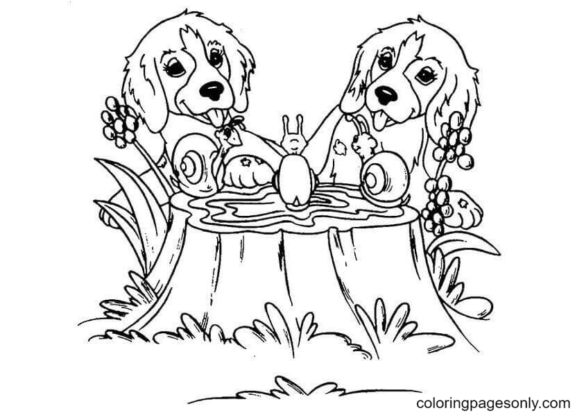 Casey and Caymus Coloring Pages