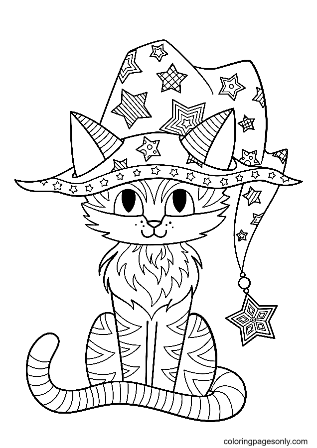 万圣节猫中戴女巫帽子的猫