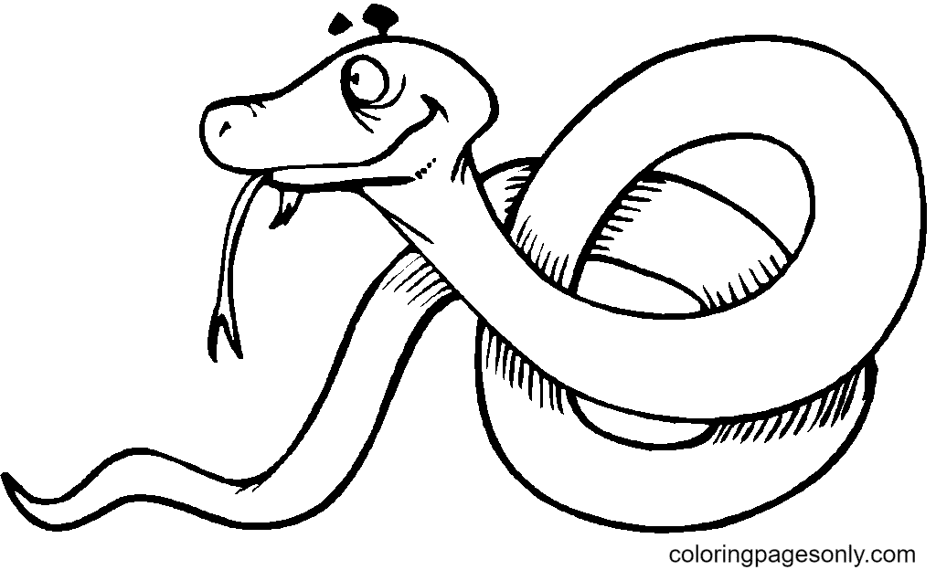 Cobra enrolada para colorir - Imprimir Desenhos