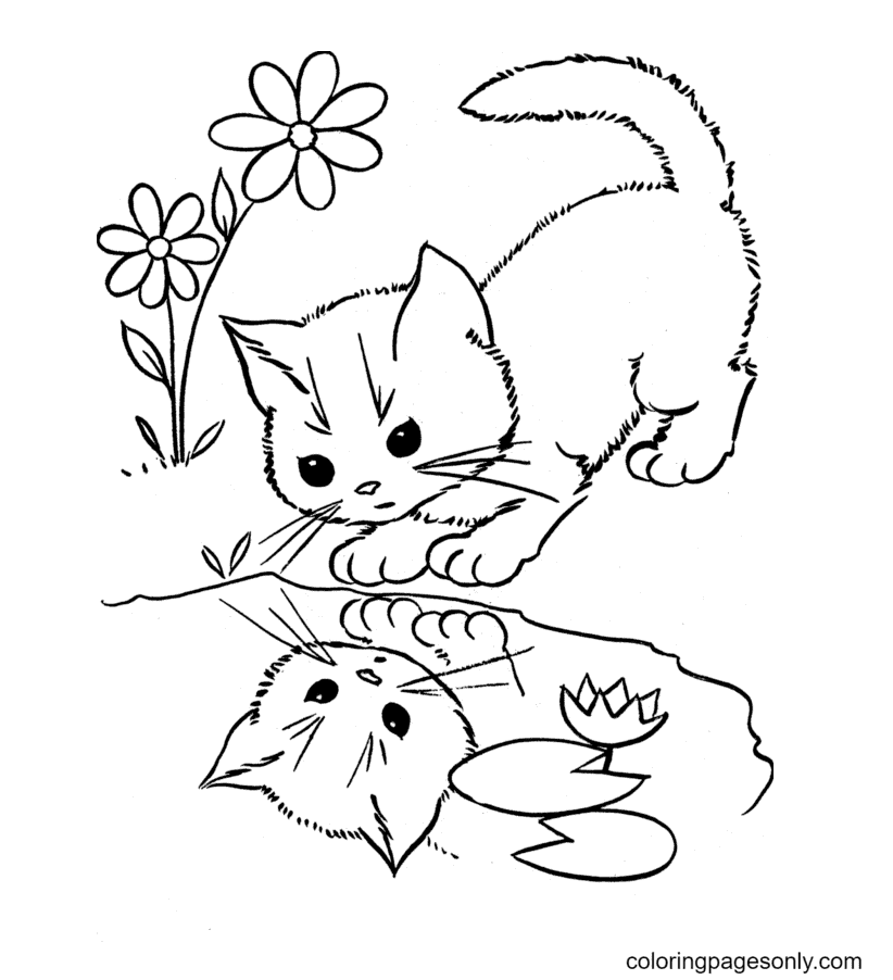Curious Kitten with its Shadow in The Water Coloring Pages